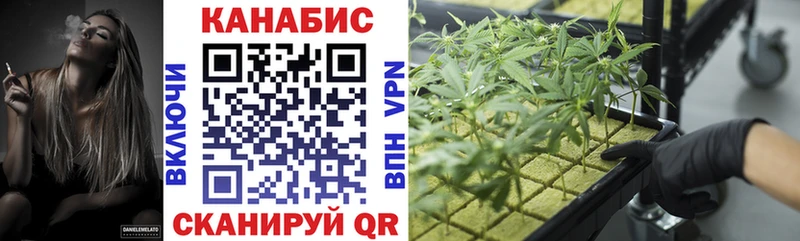 Конопля Bruce Banner Архангельск